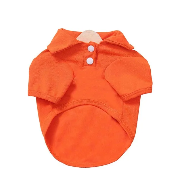 Comfy Plain Button Collared Spring Small Dog Shirt