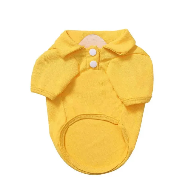 Comfy Plain Button Collared Spring Small Dog Shirt