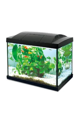 HAILEA K-60 Tank (Black)
