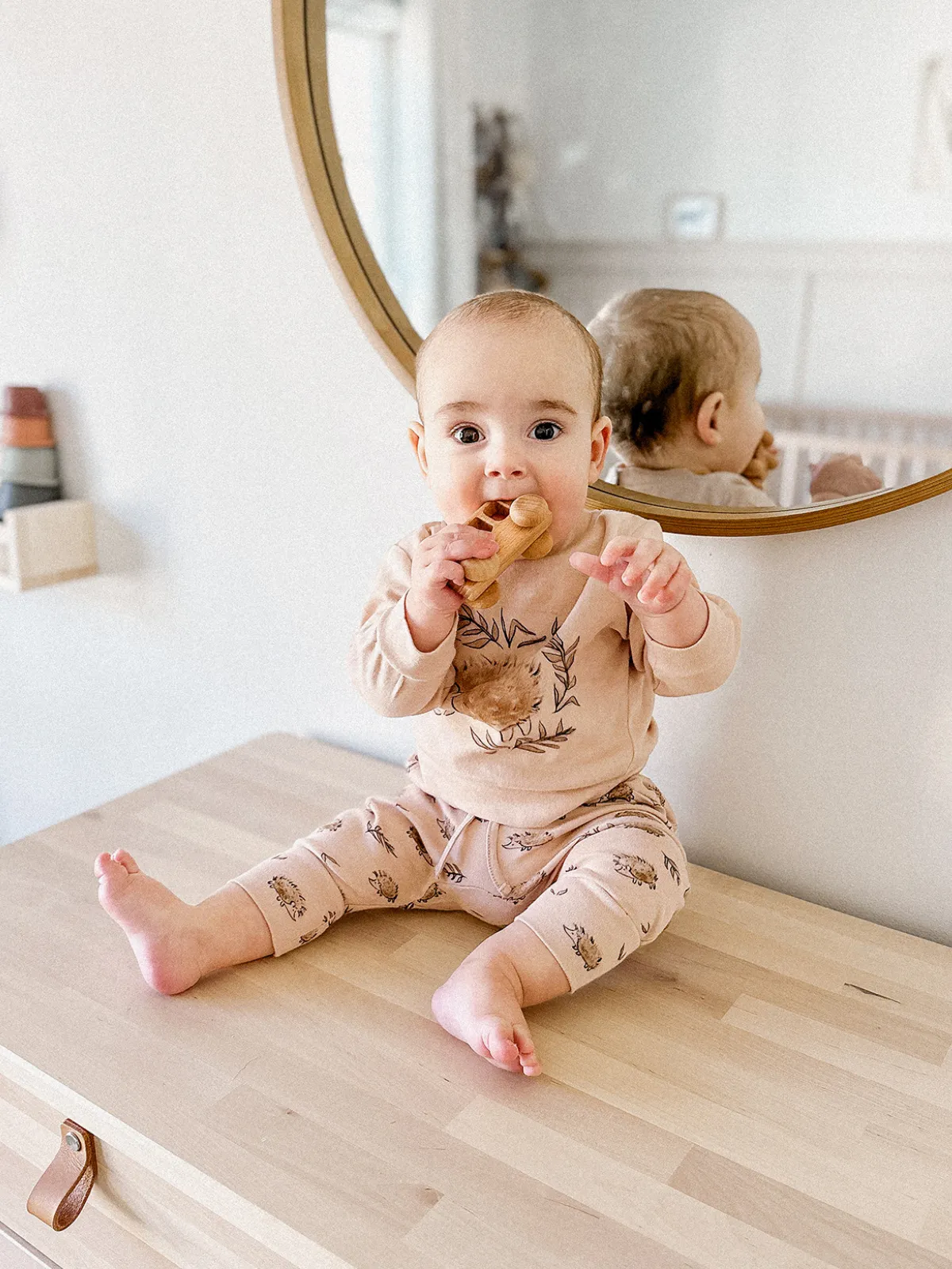 Organic Sweatshirt & Jogger Set, Prickles