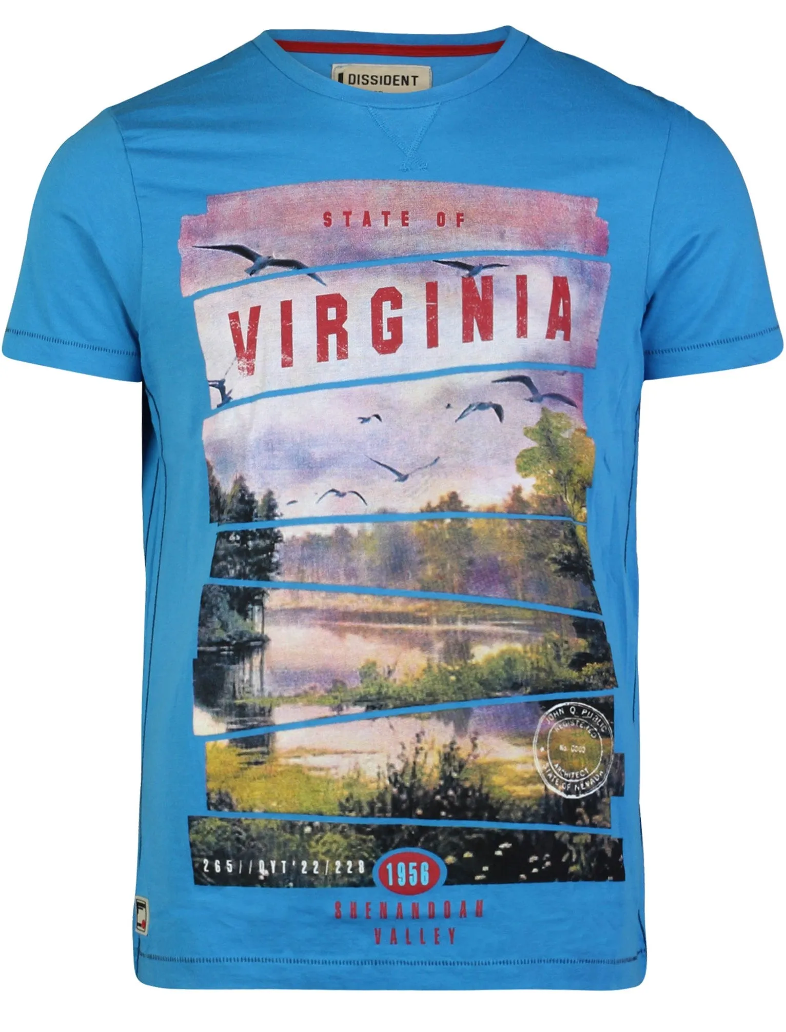 Virginia T-Shirt in Swedish Blue - Dissident