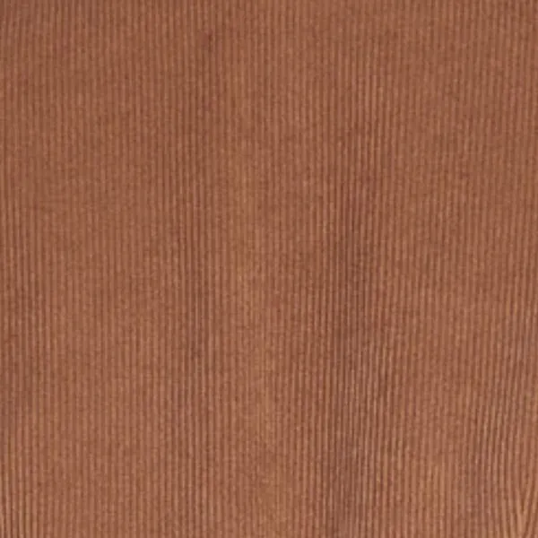 Yolanda Button-Down Corduroy Shirt